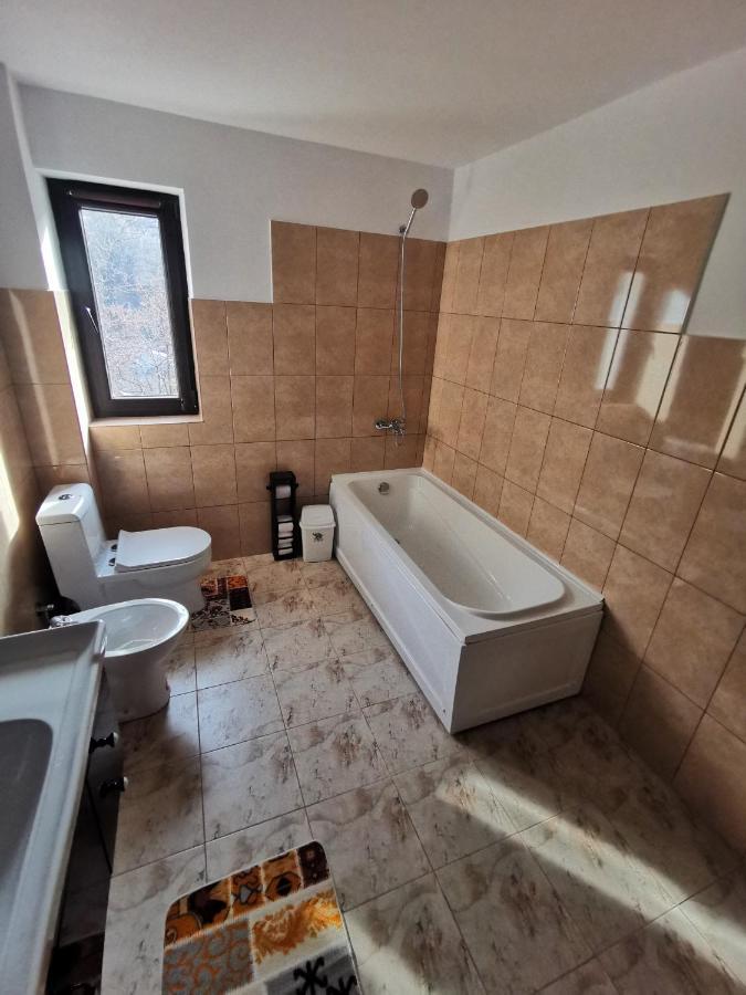 Mister Guest Apartment Nehoiu Ngoại thất bức ảnh