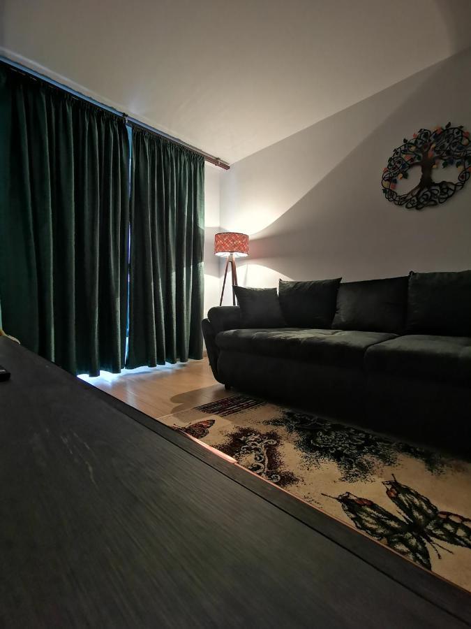 Mister Guest Apartment Nehoiu Ngoại thất bức ảnh