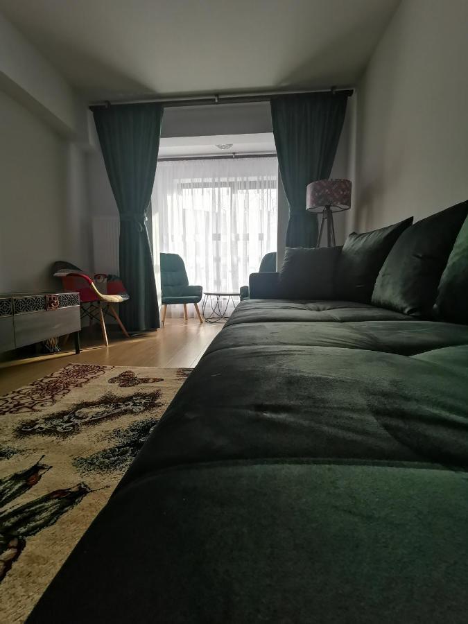 Mister Guest Apartment Nehoiu Ngoại thất bức ảnh